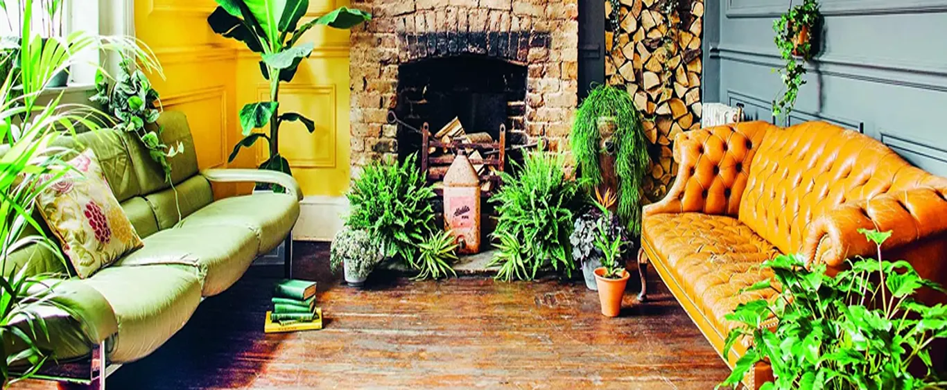 Best Indoor Plants for Removing Air Pollutants