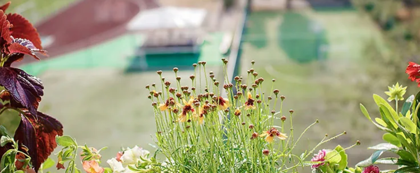 How to Transform your Balcony into a Garden